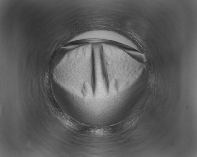 X0000082950365200702222319