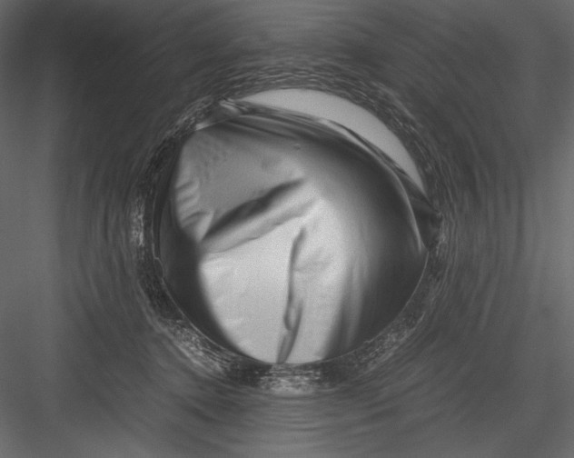 X0000082950368200702222320