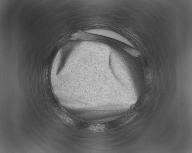 X0000082950369200702222320