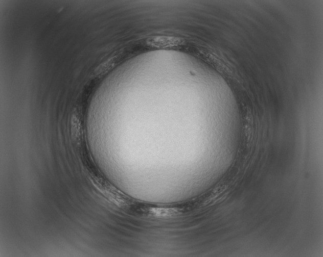 X0000082950371200702222320