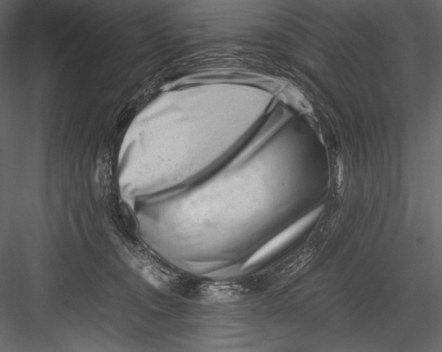 X0000082950372200702222320