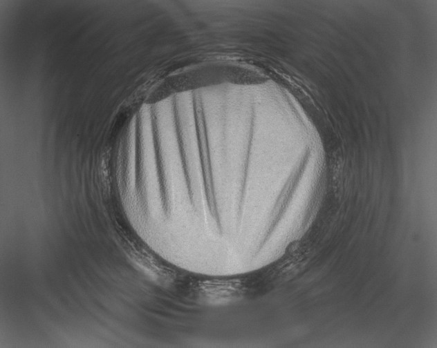 X0000082950373200702222320