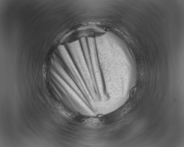 X0000082950374200702222320