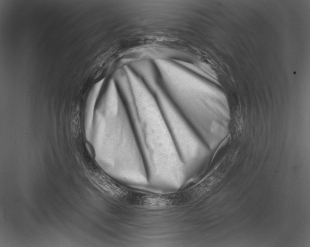 X0000082950376200702222320