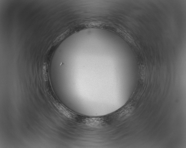 X0000082950378200702222320