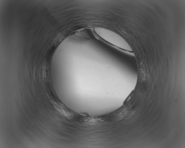 X0000082950379200702222320