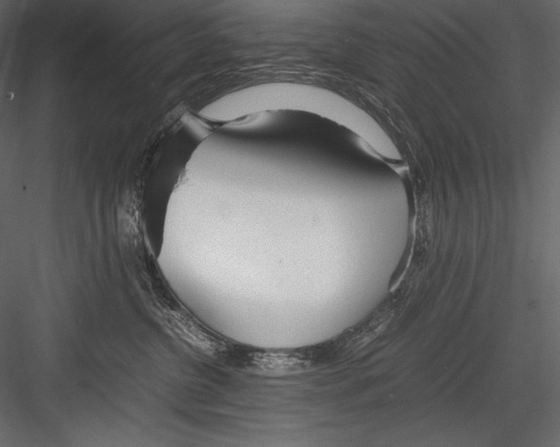 X0000082950380200702222320