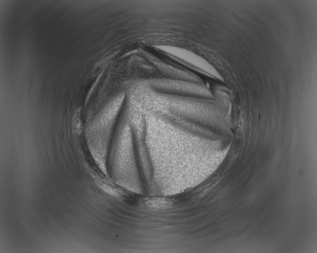 X0000082950383200702222320