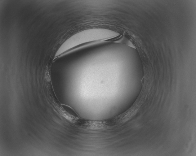 X0000082950384200702222320