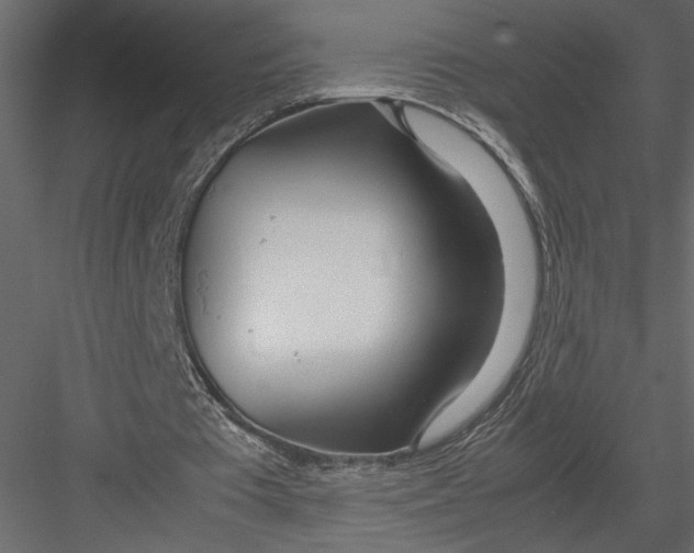 X0000082950385200702222319