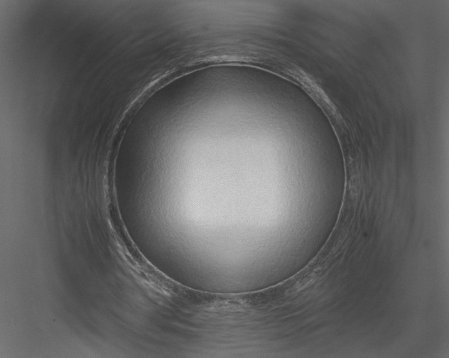 X0000082950386200702222319