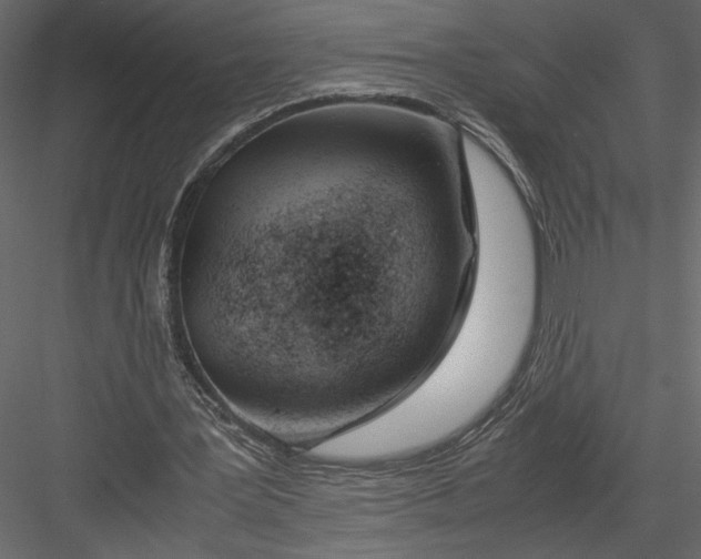 X0000082950387200702222319