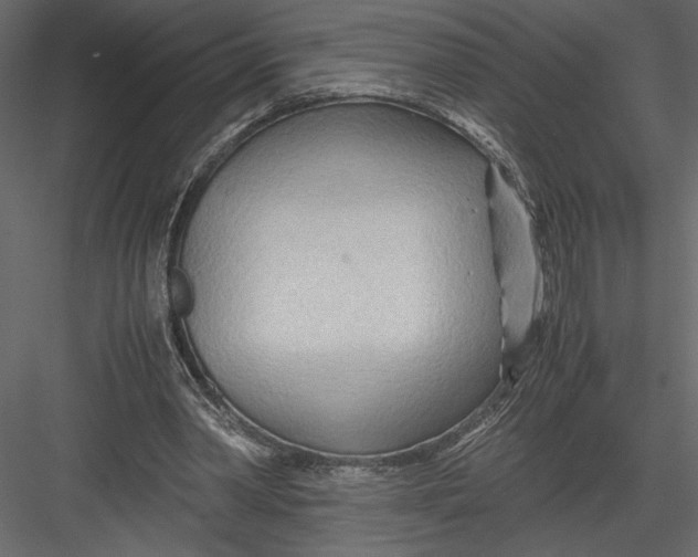 X0000082950390200702222319