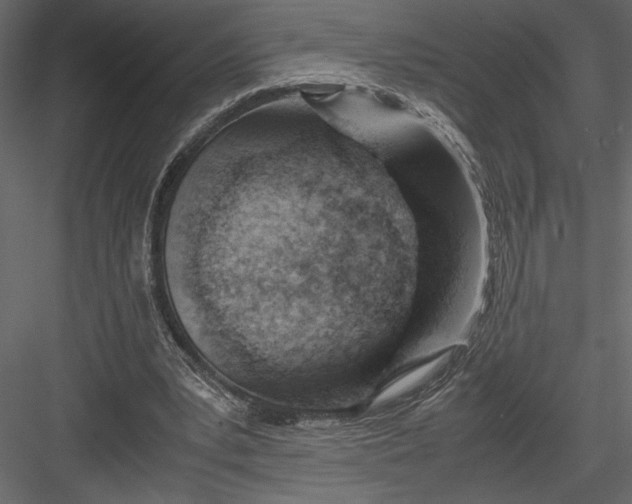 X0000082950391200702222319