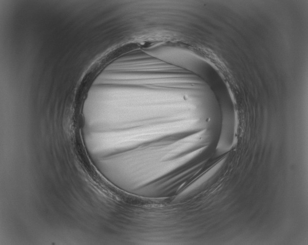 X0000082950392200702222319