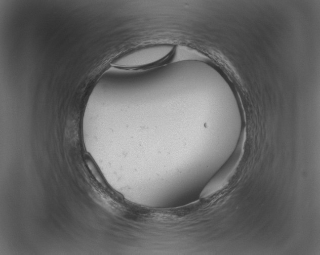 X0000082950393200702222319