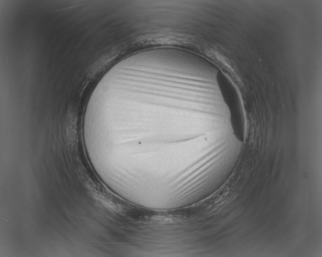 X0000082950394200702222319