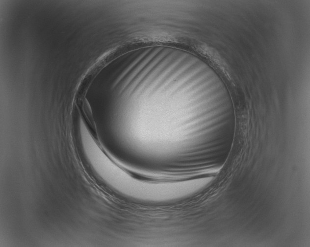 X0000082950395200702222319