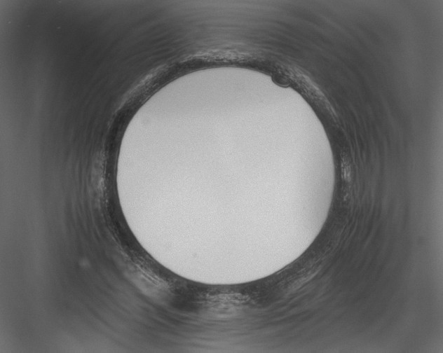 X0000082950396200702222319