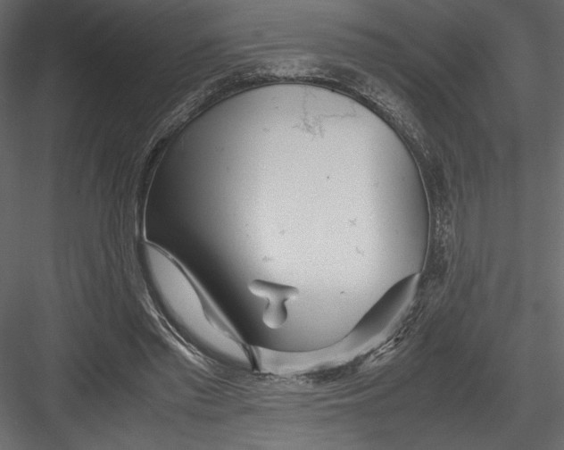 X0000082950397200702222319