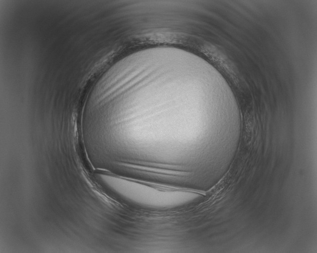 X0000082950398200702222319