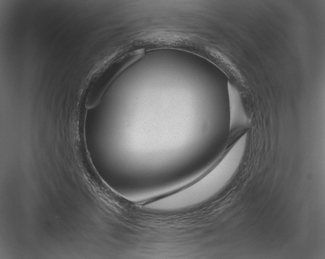 X0000082950399200702222319