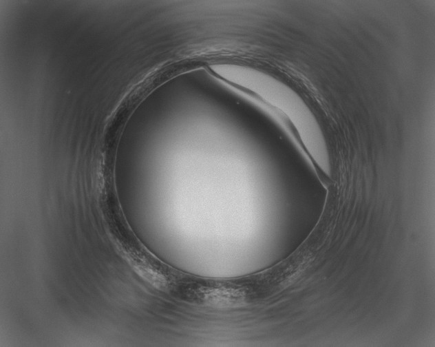 X0000082950400200702222319