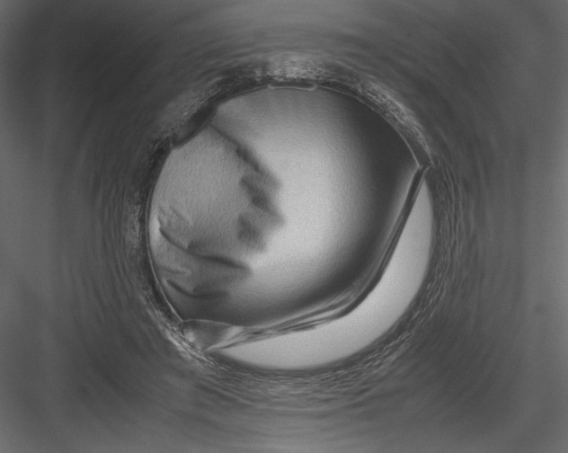 X0000082950401200702222319