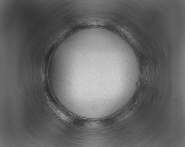 X0000082950402200702222319