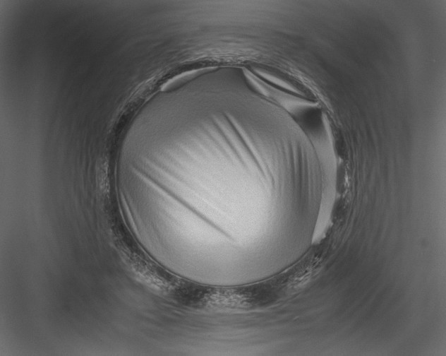 X0000082950403200702222319