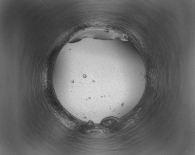 X0000082950404200702222319