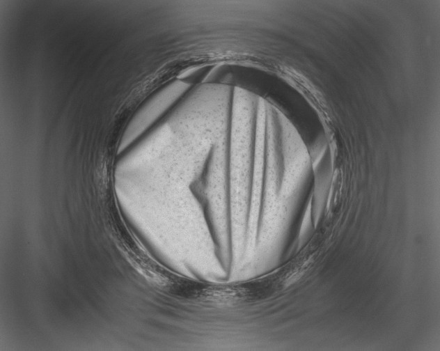 X0000082950405200702222319