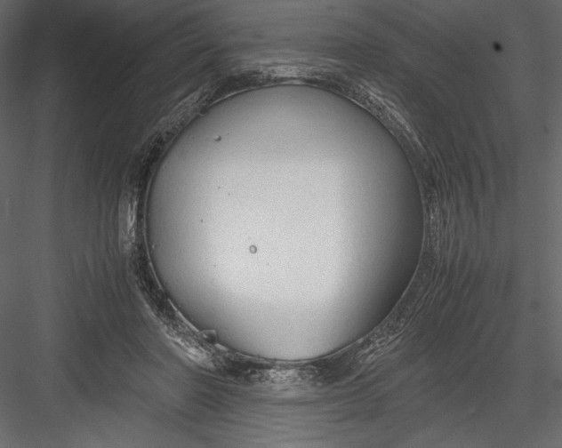 X0000082950406200702222319