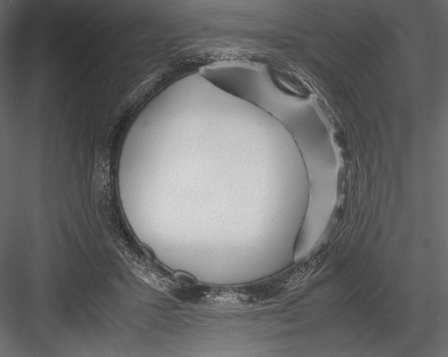 X0000082950407200702222319