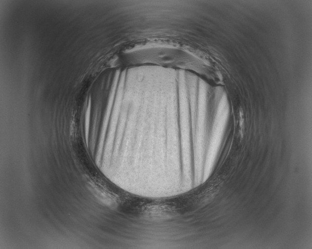 X0000082950408200702222319