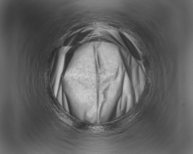 X0000082950409200702222319