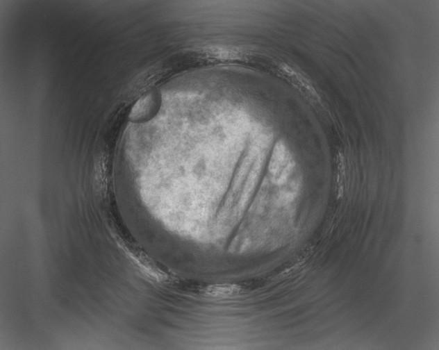 X0000082950410200702222319