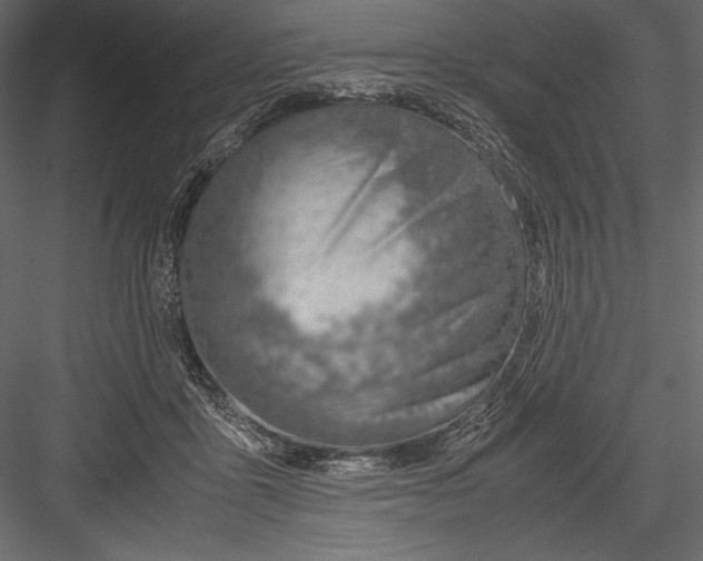 X0000082950411200702222319