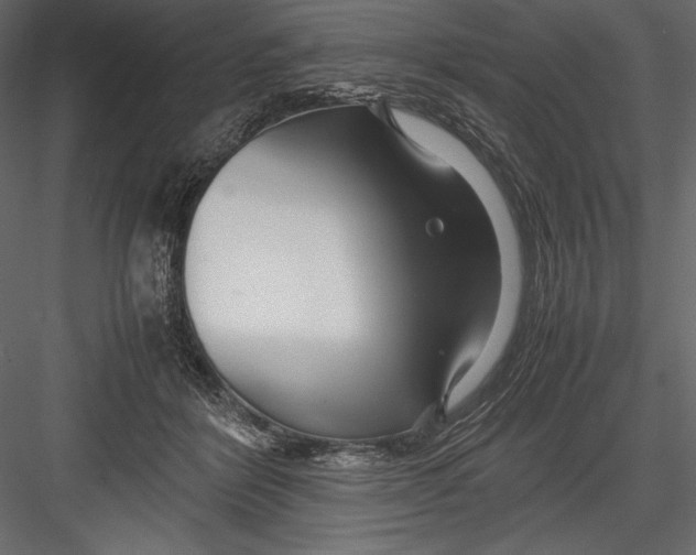 X0000082950412200702222319