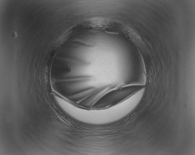 X0000082950413200702222318