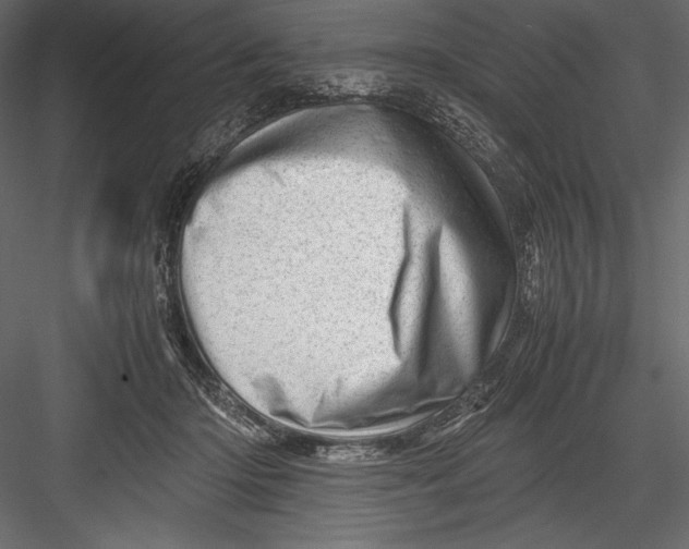 X0000082950414200702222318