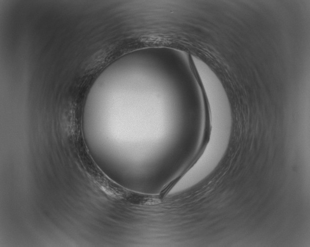 X0000082950416200702222318