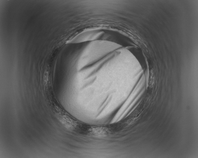 X0000082950417200702222318