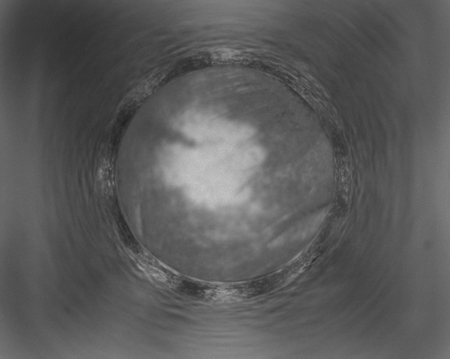 X0000082950419200702222318