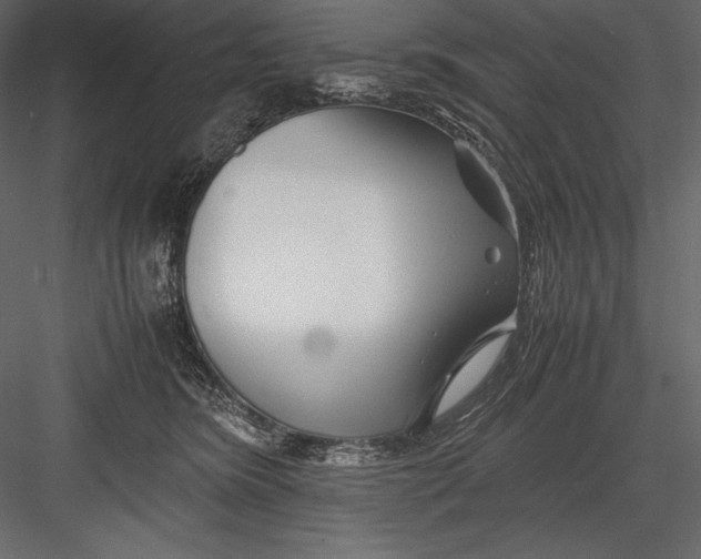 X0000082950420200702222318