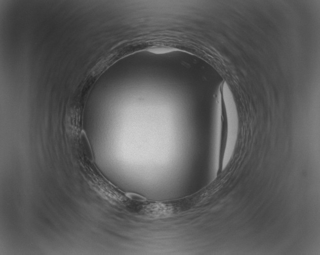 X0000082950421200702222318