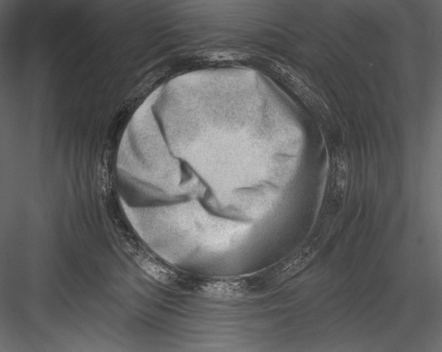 X0000082950422200702222318