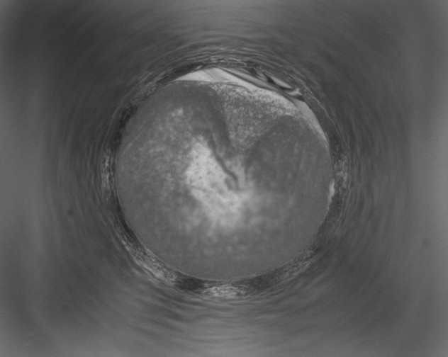 X0000082950423200702222318