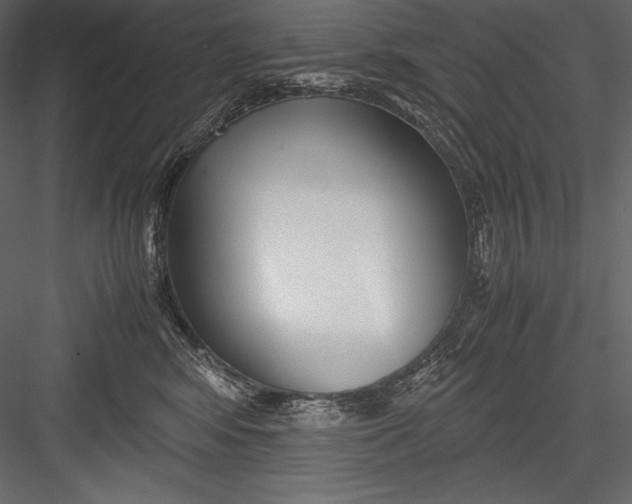 X0000082950424200702222318