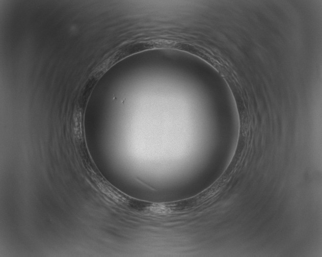 X0000082950425200702222318